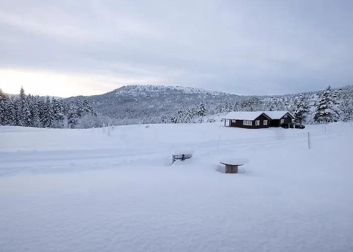 Ny Og Moderne Hytte I Stryn. Solrik Plassering