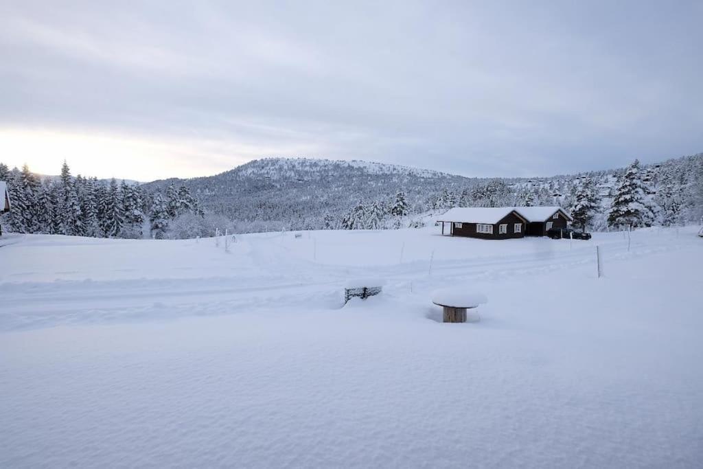 Ny Og Moderne I Stryn. Solrik Plassering Ferienhaus